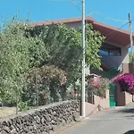 Rosetta * Dorgali